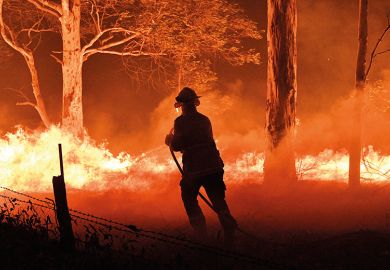 Firefighter deals with a bushfire
